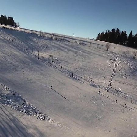 Chatky U Potoka Chatka N3 Olesnice v Orlickych horach Bagian luar foto