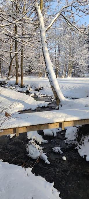 Chatky U Potoka Chatka N3 Olesnice v Orlickych horach Bagian luar foto