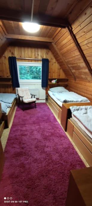 Chatky U Potoka Chatka N3 Olesnice v Orlickych horach Bagian luar foto