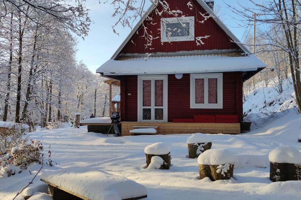 Chatky U Potoka Chatka N3 Olesnice v Orlickych horach Bagian luar foto